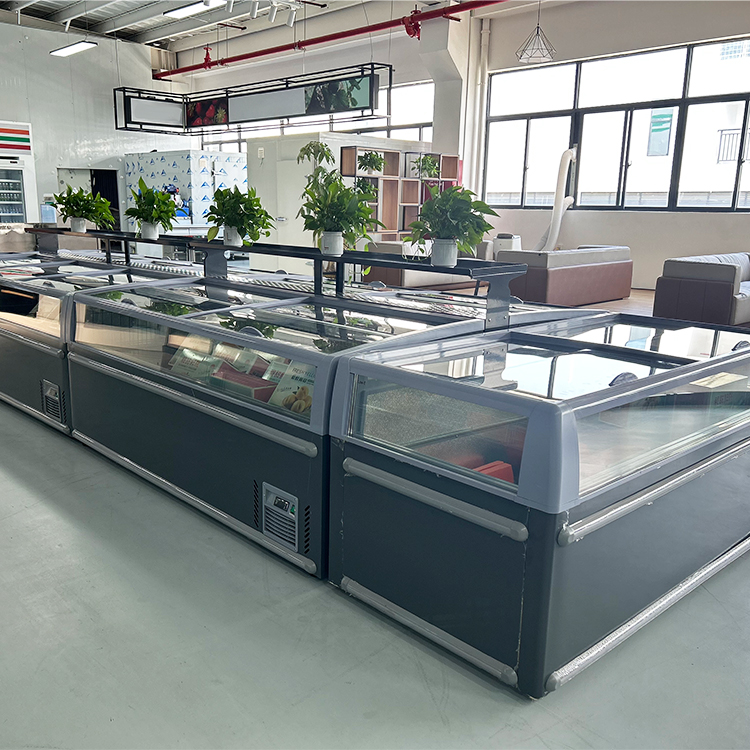 Commercial Chest Freezer - Congélateur coffre commercial avec vitrine réfrigérée