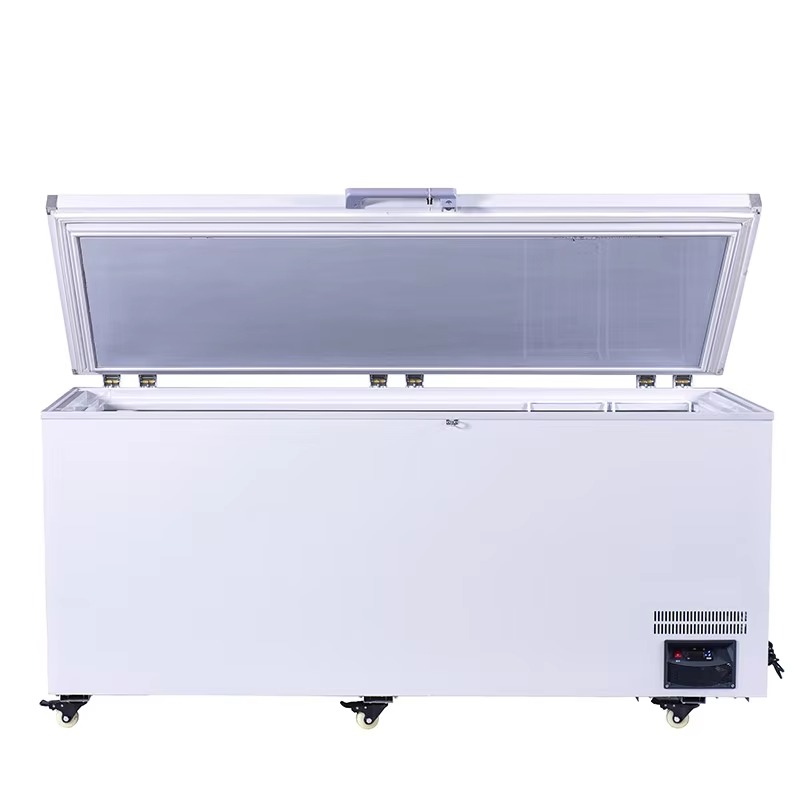 Meilleur Congélateur Horizonta - Commercial Chest Freezer avis et prix
