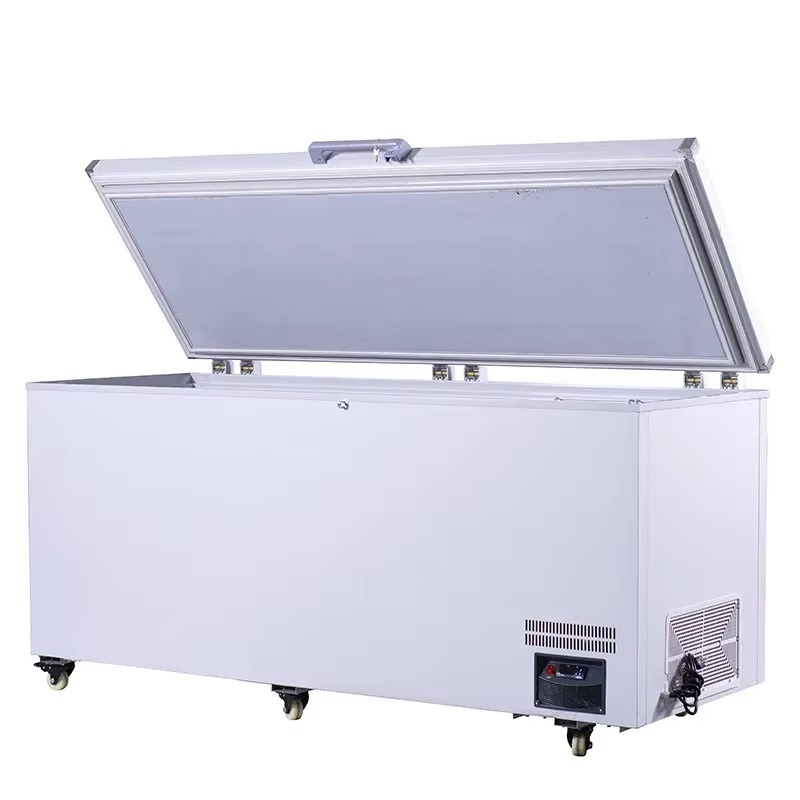 Meilleur Congélateur Horizonta - Commercial Chest Freezer avis et prix