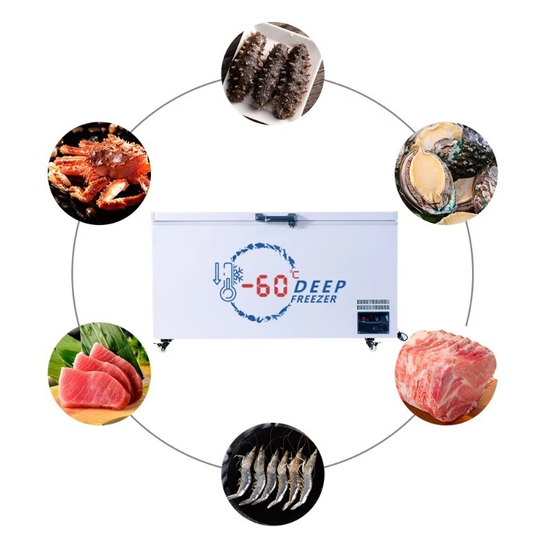 Meilleur Congélateur Horizonta - Commercial Chest Freezer avis et prix