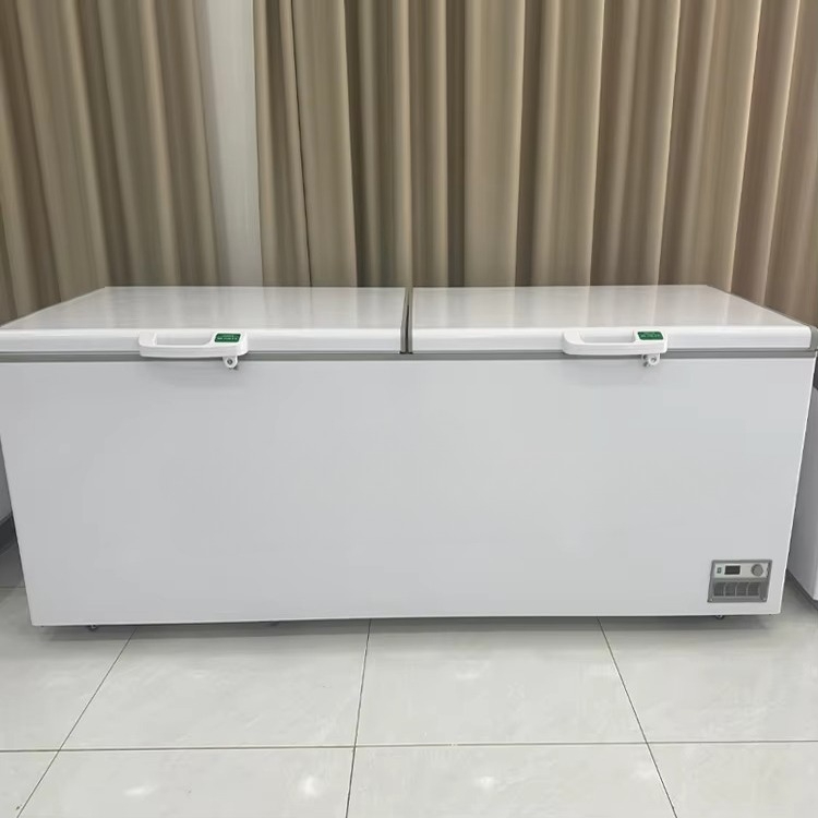 Tout nouveau congélateur coffr - Commercial Chest Freezer avis et prix