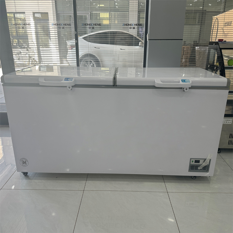 Tout nouveau congélateur coffr - Commercial Chest Freezer avis et prix